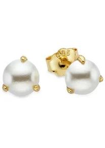 Paar Ohrstecker "Schmuck Geschenk Silberohrstecker", gelbgoldfarben, wei&szlig;, ANISTON JEWELRY & WATCHES, Ohrringe, Damen, 6mm, Perlen Silber 925 (Sterlingsilber), Perlen, Silber 925 (Sterlingsilber), mit Muschelkernperle (synth.)