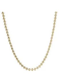 Edelstahlkette Firetti "Schmuck Geschenk Armband Kette Fu&szlig;kette Bauchkette Herzen" Gr. 55, gold (gelbgoldfarben), Halsketten, Damen, 55, Edelstahl, B: 4,05mm, Edelstahlkette, in verschiedenen L&auml;ngen erh&auml;ltlich, B:4,05mm