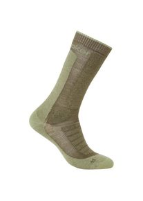 Wandersocken Icebreaker Merino Hike+ Heavy Crew Herren (Gr M |oliv)