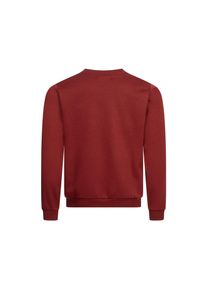 Pierre Cardin Sweatshirt Pullover