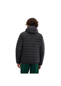 Ellesse Jacke LOMBARDY Steppjacke