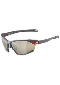 Alpina Twist Six Q Mirror S3 Fahrradbrille (grau)