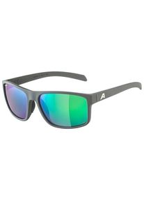 Sonnenbrille Alpina Nacan I Polarized Mirror S3 (grau)