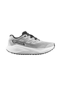 Salomon Herren Aero Blaze 3 Gravel grau 46.6
