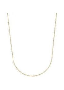 Collierkettchen Amor "Panzerkettengliederung" Gr. 42, gold (gelbgoldfarben), Halsketten, Damen, 42, Edelstahl, B: 1,4mm, B:1,4mm