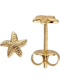 Paar Ohrstecker Jobo "Ohrringe Seestern", gelb (gelbgold 585), Ohrringe, Damen, 5,3mm, Gelbgold 585, 585 Gold