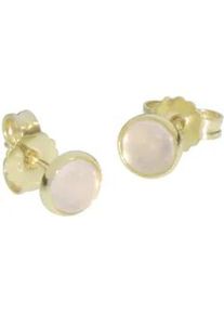 Paar Ohrstecker OSTSEE-SCHMUCK "OSTSEE-SCHMUCK Ohrstecker Classic 5 mm Ohrstecker Classic 5 mm", gelb, Ohrringe, Damen, 6mmrund, Gelbgold 333