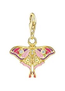 Charm-Einh&auml;nger Thomas Sabo "Charm Nachtfalter bunt", gold (gelbgoldfarben, wei&szlig;, wei&szlig;), Charms, Damen, Silber 925 (recycelt), mit Zirkonia (synth.)