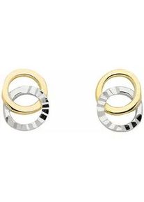 Adelia&acute;s Paar Ohrh&auml;nger ADELIA ́S "1 Paar 333 Gold Ohrringe / Ohrstecker", gold, Ohrringe, Damen, Damen, Gold, 333 Gold Goldschmuck f&uuml;r Damen