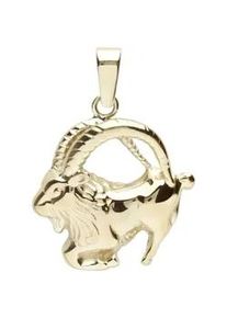 Kettenanh&auml;nger OSTSEE-SCHMUCK "OSTSEE-SCHMUCK Anh&auml;nger Tierkreiszeichen Steinbock", gelb, Schmuckanh&auml;nger, Damen, 25 x 18mm, Gelbgold 333, 1,6 g, Kettenanh&auml;nger