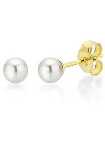 Paar Ohrstecker Firetti "Schmuck Geschenk Gold 375 Ohrschmuck Perle verschiedene Gr&ouml;&szlig;en" Gr. 5, gold (gelbgoldfarben, wei&szlig;), Ohrringe, Damen, 5, Gelbgold 375 Perlen, Gelbgold 375, Perlen, Made in Germany - mit S&uuml;&szlig;wasserzuchtperle