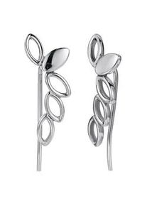 Paar Ohrhaken Kingka "ORIVA Leaves", silber (edelstahlfarben), Ohrringe, Damen, Edelstahl
