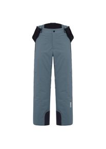 Colmar Originals Colmar Active Salopette Pants 1424 Skihose Herren (Gr 48 |grau |wasserdicht)