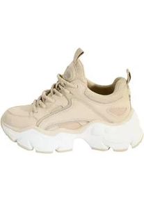 Trainingsschuh Buffalo "Buffalo Damen Buffalo Binary C Sneaker Low", Damen, Gr. 41, cream, Schuhe