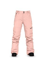 Horsefeathers Diane Pants Skihose Damen (Gr M |rosa |wasserdicht)