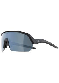 Alpina Turbo HR Mirror Cat. 3 Fahrradbrille (grau)