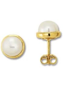 Paar Ohrh&auml;nger ONE ELEMENT "Ohrringe Ohrstecker aus 333 Gelbgold", gold, Ohrringe, Damen, Damen, Gelbgold 333 Gold Perlen, Gelbgold 333, Gold, Perlen, Fein gefertigt &ndash; ein Zeichen mit besonderer Bedeutung