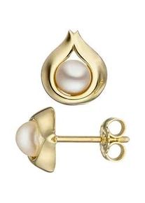 Perlenohrringe Jobo, gold (gelbgold 333), Ohrringe, Damen, Gelbgold 333 Perlen, Gelbgold 333, Perlen, Tropfen 333 Gold mit S&uuml;&szlig;wasser-Zuchtperlen