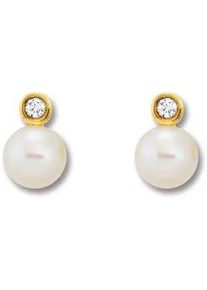 Paar Ohrh&auml;nger ONE ELEMENT "Zirkonia Ohrringe Ohrstecker aus 333 Gelbgold", gold, Ohrringe, Damen, Damen,mit Zirkonia, Gelbgold 333 Gold Perlen, Gelbgold 333, Gold, Perlen, Symbolische Note &ndash; harmonisch gestaltet mit Liebe zum Detail