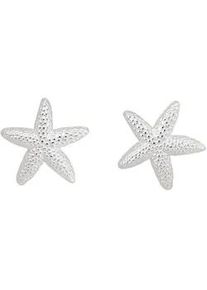 Paar Ohrstecker Firetti "Schmuck Geschenk Silber 925 Ohrschmuck Seestern", silber (silberfarben), Ohrringe, Damen, Silber 925 (Sterlingsilber)