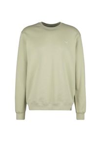 Pullover Iriedaily Mini Flag 2 Crew Herren (Gr XXL |beige)