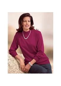 Classic Dog Stehkragenpullover CLASSIC "Pullover", Damen, Gr. 42, rot (bordeaux), 70% Polyacryl, 30% Schurwolle, unifarben, figurumspielend, Pullover Stehkragenpullover