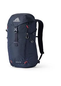 Gregory Nano 28 Daypack (blau)