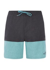 Protest PRTFreddie Boardshorts Herren (Gr S |grau)
