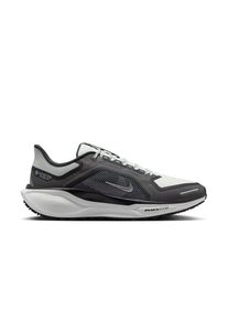 Nike Herren Pegasus 41 GTX grau 44.0
