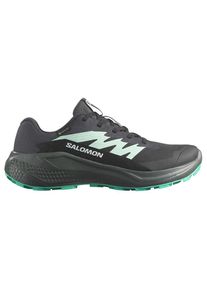 Salomon Damen Alphaglide GTX schwarz 44.0