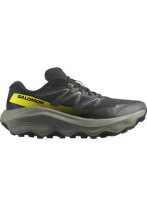 Salomon Herren Ultra Flow 2 GTX schwarz 44.6