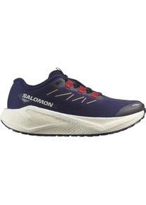 Salomon Damen Aero Blaze 3 Gravel blau 37.3