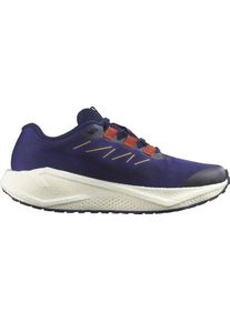 Salomon Herren Aero Blaze 3 Gravel blau 44.6