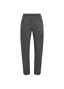 Icebreaker Merino Elevation Stretch Pants Trekkinghose Damen (Gr 30 |grau)