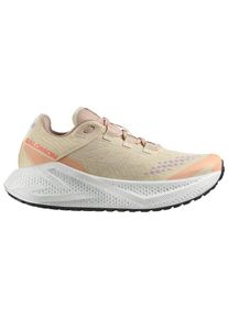 Salomon Aero Glide 3 GRVL Runningschuhe Women (Gr 40 |beige)
