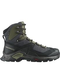 Salomon Herren Quest Element GTX schwarz 43.3