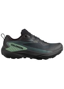 Salomon Genesis GORE-TEX Trailrunningschuhe Herren (Gr 40 |schwarz |wasserdicht)