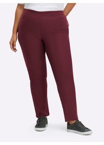 sheego Große Größen Hose innen angeraut, bordeaux, Größe 44 - Damen