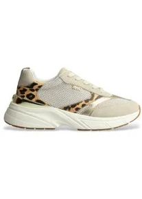 Liu Jo f&uuml;r Damen. BA6049PX884S3991 Turnschuhe LJ09 animalprint (37), Wohnung, Schn&uuml;rsenkel, L&auml;ssig, Tierdruck