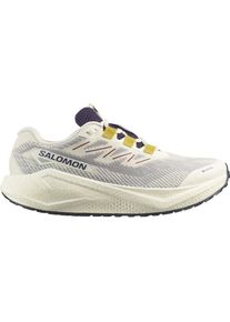 Salomon Herren Aero Blaze 3 Gravel GTX beige 45.3