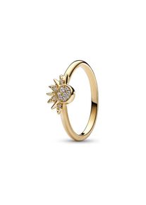Pandora Damenring Moments 162674C01-56