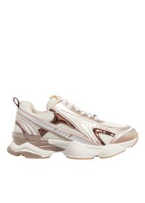 Steve Madden Low-Top Sneaker - Speedster-E - Gr. 37 (EU) - in Ros&eacute;gold - f&uuml;r Damen