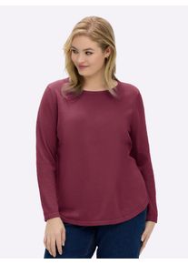 sheego Gro&szlig;e Gr&ouml;&szlig;en Baumwollpullover mit &uuml;berlappendem Saum, bordeaux, Gr&ouml;&szlig;e 52 - Damen