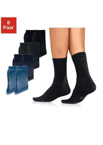 H.I.S. Basicsocken H.I.S, Damen, Gr. 39-42, blau (schwarz, anthrazit, blau), Baumwolle, Elasthan, Polyamid, unifarben, elastisch, Socken Basicsocken, mit hohem Baumwollanteil, Topseller