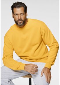 Sweatshirt Fruit of the Loom, Herren, Gr. S (44/46), gelb (sonnengelb), angeraute Sweatware, Obermaterial: 80% Baumwolle, 20% Polyester, schmal h&uuml;ftlang, Rundhals, Rippb&uuml;ndchen, Sweatshirts Sweatshirt, im unifarbenen Design