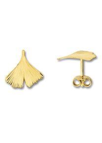 Paar Ohrstecker ONE ELEMENT "Ginkgoblatt Ohrringe Ohrstecker aus 333 Gelbgold", gold, Ohrringe, Damen, Gelbgold 333, Paar Ohrstecker
