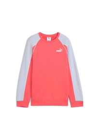 Sweatshirt Puma "SPORT CREW TR G", M&auml;dchen, Gr. 152, peach frost, Sweatware, Obermaterial: 68% Baumwolle, 32% Polyester, unifarben, relaxed fit normal, Rundhals, angesetztes B&uuml;ndchen, Sweatshirts Sweatshirt, mit Paspeldetails, mit Gummiprint, mit Rundhalsausschnitt