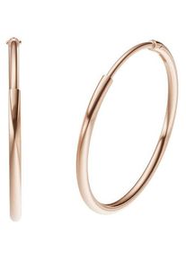 Paar Creolen Firetti "Schmuck Geschenk Silber 925 3,9 mm breit" Gr. 25, rosa (ros&eacute;goldfarben), Ohrringe, Damen, 25, Silber 925 (Sterlingsilber), Paar Creolen, Made in Germany