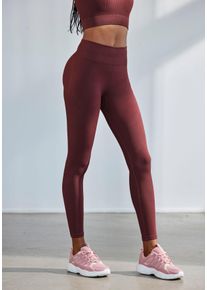 Seamless Leggings Lascana "Po Push Up", Herren, Gr. L (44/46), N-Gr, rot (dunkelrot), Obermaterial: 91% Polyamid, 8% Elasthan, 1% Polyester, unifarben, figurbetont lang, Hosen Seamless Leggings, mit Rippstruktur und Shapingeffekt, Sporthose, Sportleggings, Topseller
