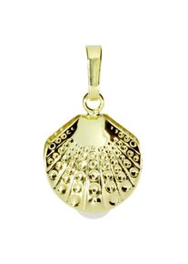 Kettenanh&auml;nger OSTSEE-SCHMUCK "- Muschel - Gold 333/000 - Zuchtperle" Gr. 21, gold (gold 333, goldfarben, gelb), Schmuckanh&auml;nger, Damen, Gelbgold 333, Kettenanh&auml;nger